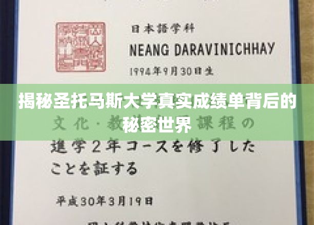 揭秘圣托马斯大学真实成绩单背后的秘密世界