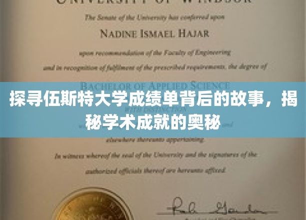 解码伍斯特大学成绩单，揭开学术辉煌的秘密面纱
