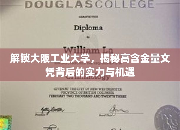 揭秘大阪工业大学，顶尖文凭背后的实力密码与无限机遇