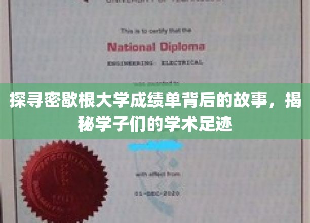 揭秘密歇根大学成绩单背后的故事，探寻学子们的学术足迹