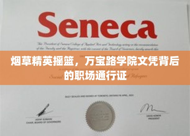 烟草精英摇篮，万宝路学院文凭背后的职场通行证
