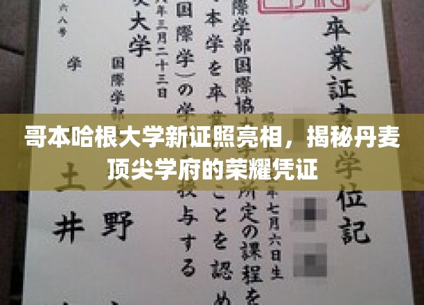 哥本哈根大学新证照揭秘，探秘北欧教育界的璀璨明珠