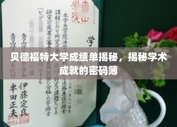 贝德福特大学成绩单，解码学术卓越的秘密档案