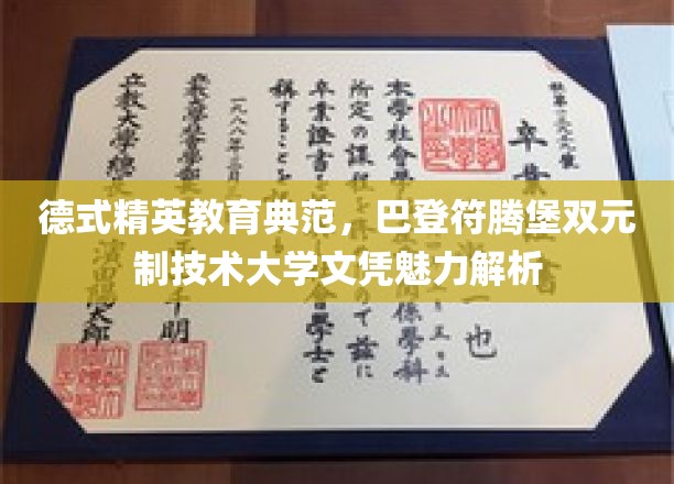 德式精英教育典范，巴登符腾堡双元制技术大学文凭魅力解析