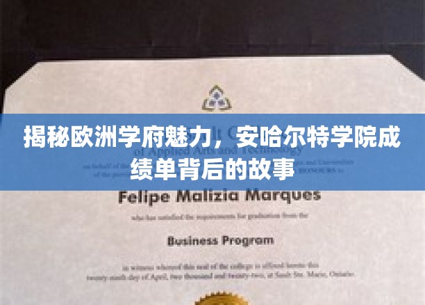 探寻安哈尔特学院，揭开欧洲教育殿堂的卓越成就面纱