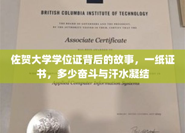 佐贺大学学位证，见证奋斗与汗水的荣耀篇章