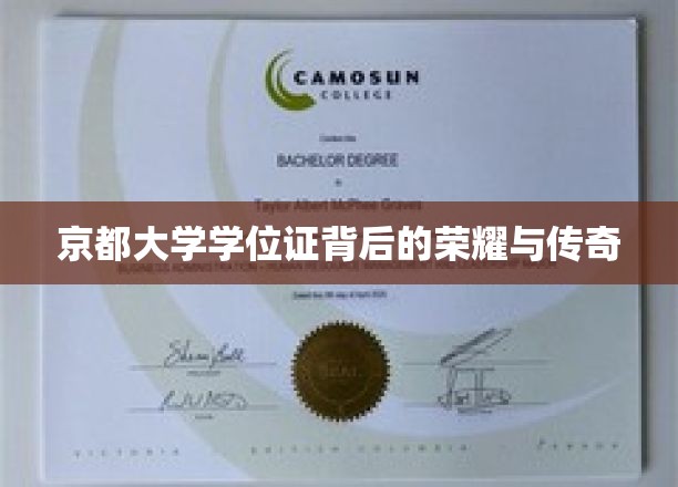 京都大学学位证，见证荣耀与传奇的非凡之旅