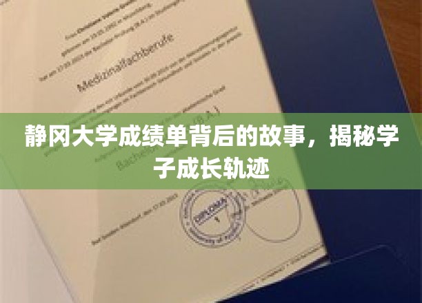 静冈大学成绩单背后的故事，揭秘学子成长轨迹