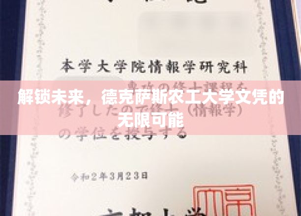 跨越新界，德克萨斯农工大学学历的无限前程之旅