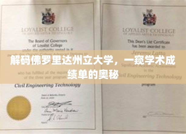 解码佛罗里达州立大学，一窥学术成绩单的奥秘