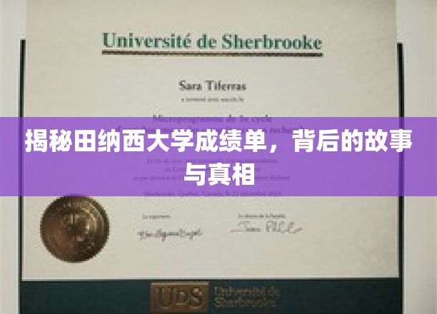 探寻田纳西大学成绩单背后的传奇与奥秘