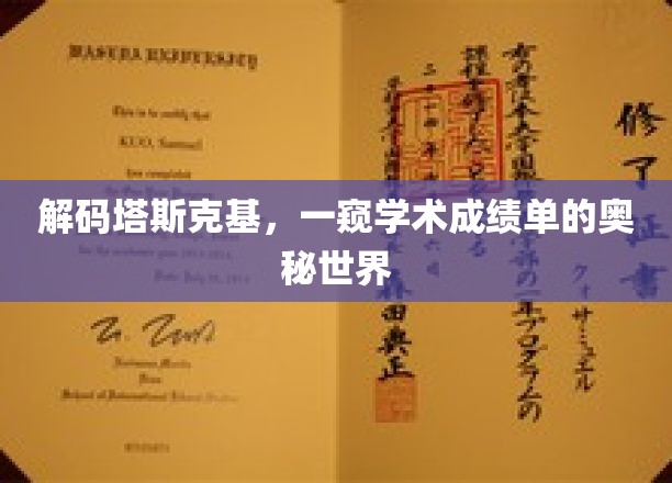 揭秘学术成绩单背后的塔斯克基密码