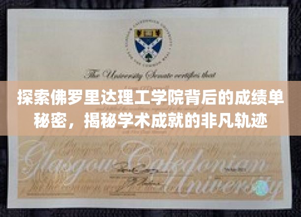 揭开佛罗里达理工学院卓越成就的神秘面纱，探寻非凡教育旅程