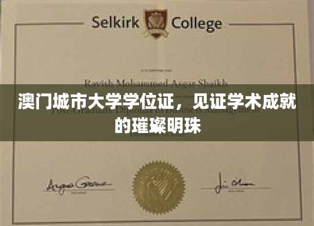 澳门城市大学学位证，闪耀成就的荣耀凭证