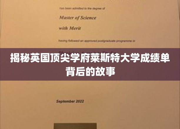探寻莱斯特大学卓越成绩单背后的神秘力量