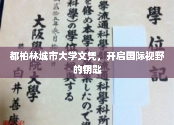 都柏林城大文凭，解锁全球视野新篇章