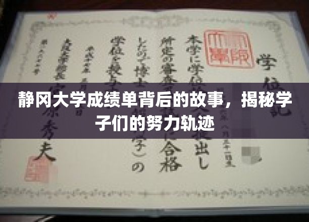 探寻静冈大学学子奋斗足迹，成绩单背后的励志篇章