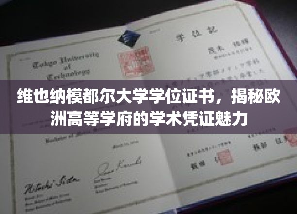 欧洲学府魅力揭秘，维也纳模都尔大学学位证书背后的学术风采