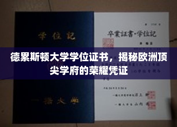 探索德累斯顿大学，欧洲精英教育的高光名片
