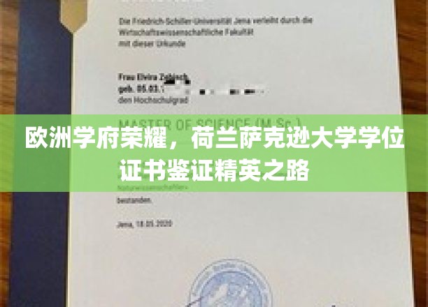 荷兰萨克逊大学荣耀见证，学位证书彰显欧洲精英风采