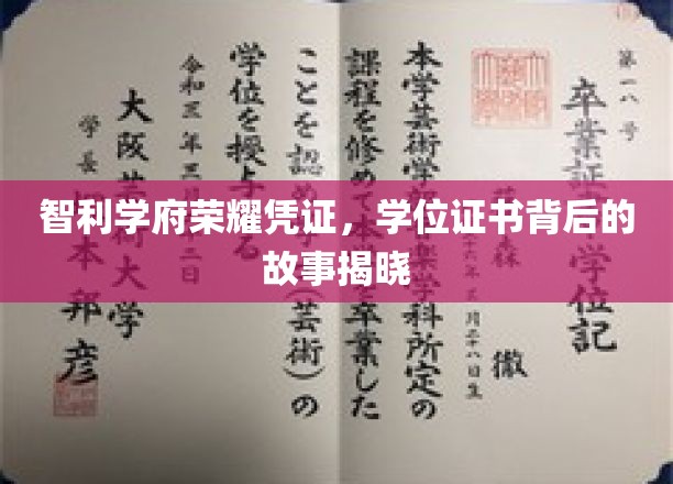 智利学府荣耀凭证，学位证书背后的故事揭晓
