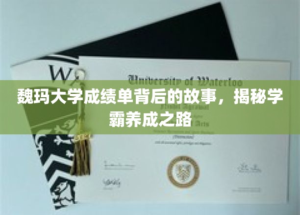 解码魏玛学霸，揭秘成绩单背后的成长轨迹