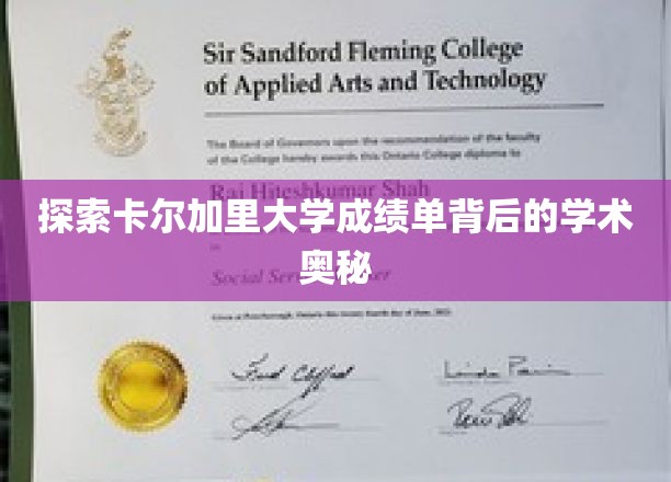 解码卡尔加里大学成绩单，揭秘学术成就的密码