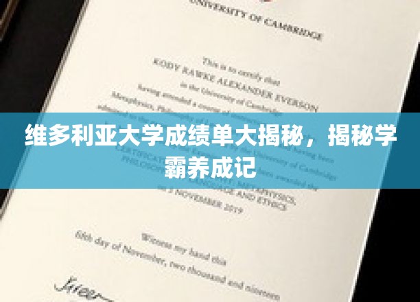 维多利亚大学成绩单大揭秘，揭秘学霸养成记