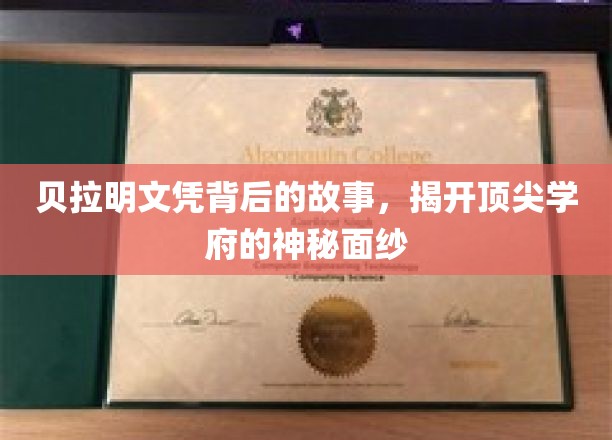 贝拉明文凭之谜，揭秘顶尖学府的非凡魅力与传奇故事