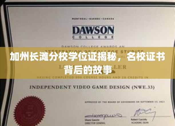 解码加州长滩分校荣耀凭证，名校学位背后的传奇之旅