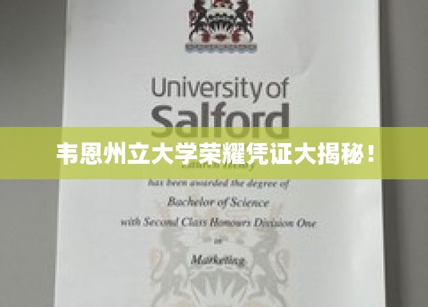 韦恩州立大学荣誉证书背后的神秘面纱