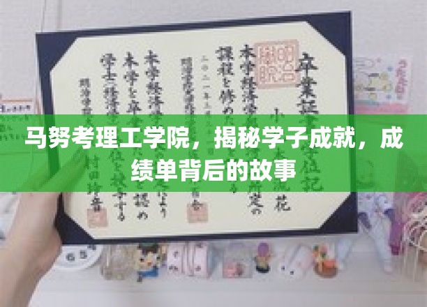 解码马努考理工学院，学子辉煌成就背后的真实历程