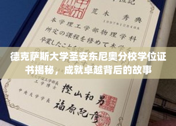 解码德克萨斯大学圣安东尼奥分校，卓越学位背后的传奇历程