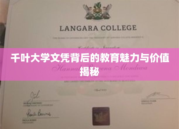 千叶大学文凭背后的教育魅力与价值揭秘