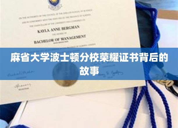 麻省大学波士顿分校荣耀证书，揭开其背后的传奇历程