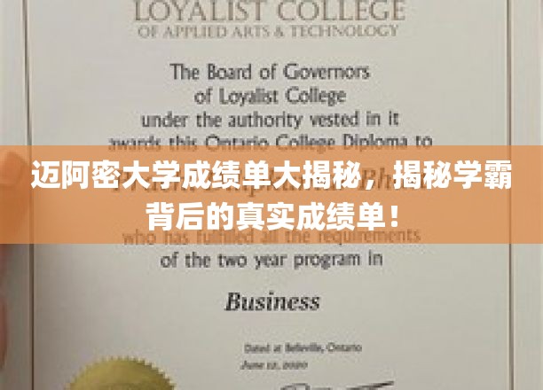 迈阿密学霸真实成绩单曝光，揭秘学术巅峰背后的秘密数据