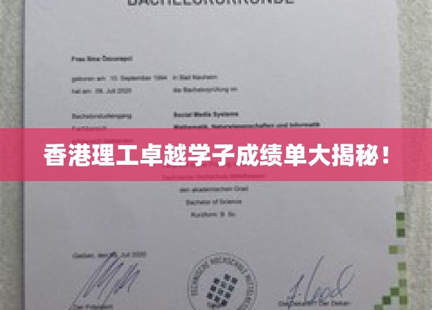 香港理工大学卓越学子成绩单大揭秘！