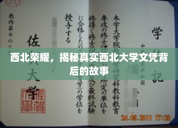 西北学府传奇，揭秘西北大学文凭背后的非凡历程