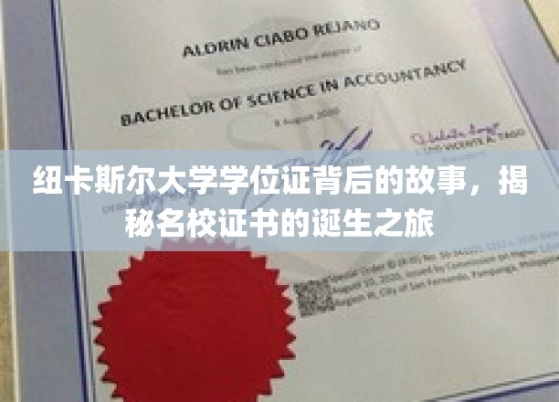 解码纽大文凭，名校学位证的神秘诞生记