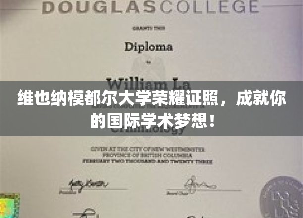维也纳模都尔大学荣耀证照，成就你的国际学术梦想！