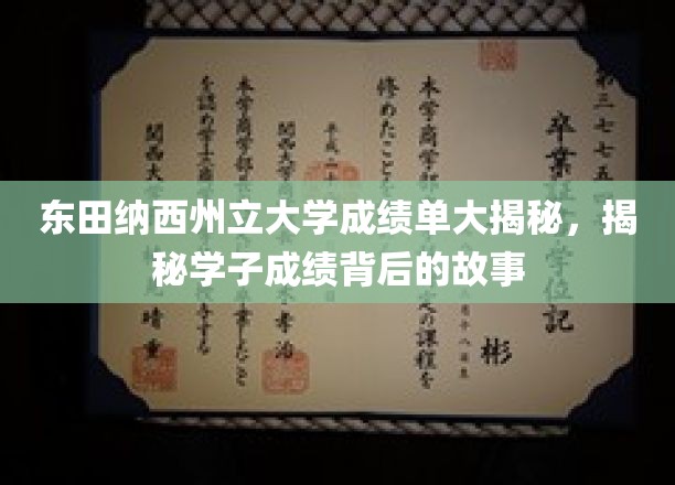 东田纳西州立大学成绩单大揭秘，揭秘学子成绩背后的故事
