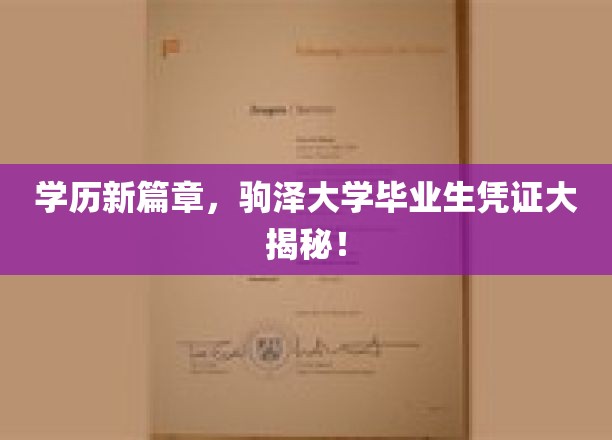 开启学历新篇章，一探驹泽大学毕业生凭证的奥秘！