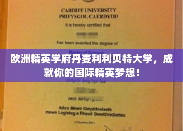 欧洲精英学府丹麦利利贝特大学，成就你的国际精英梦想！