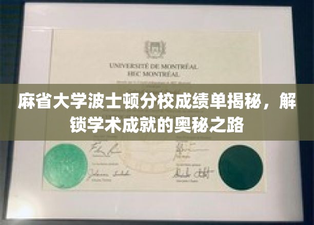 解码麻省大学波士顿分校卓越成就，揭秘学术巅峰的秘密通道