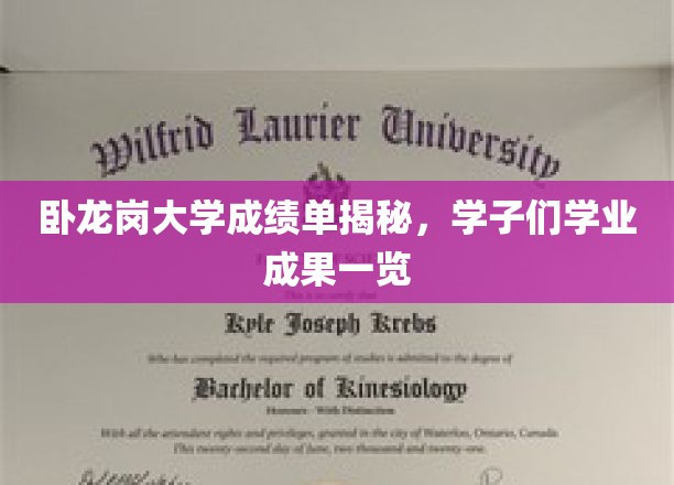 揭秘卧龙岗大学学子实力，成绩单背后的辉煌成就