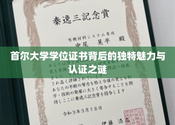 解码首尔大学，学位证书的神秘面纱与非凡价值