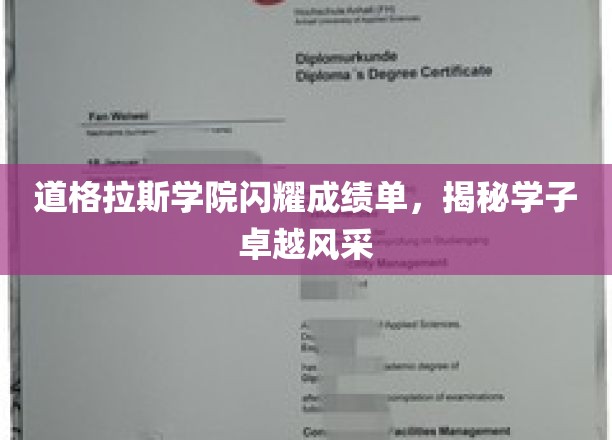 道格拉斯学子绽放光芒，卓越风采背后的故事