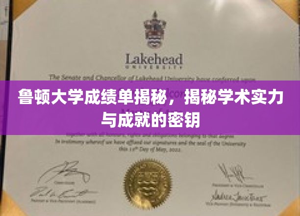 鲁顿大学成绩单解析，解码学术实力与辉煌成就的秘密