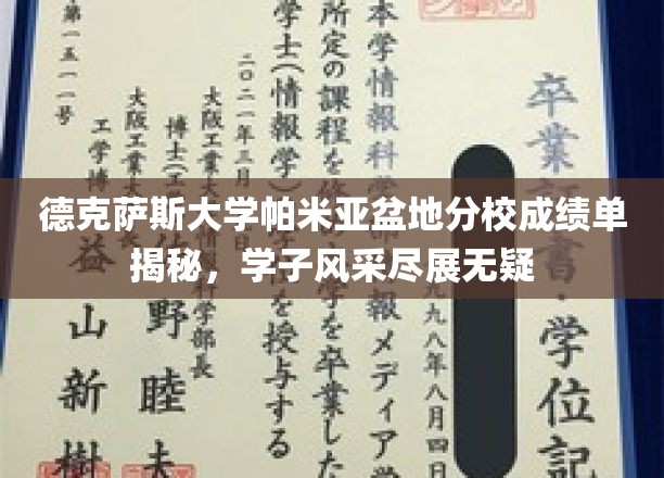 德克萨斯大学帕米亚盆地分校成绩单揭秘，学子风采尽显无遗