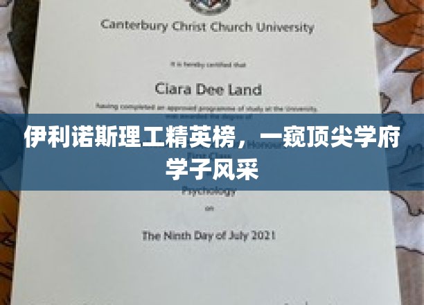 伊利诺斯理工骄子云集，共展卓越学子光芒